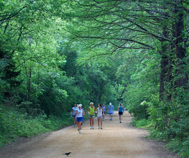 Why not a calming walk around the lake? Why not a calming walk around the lake?